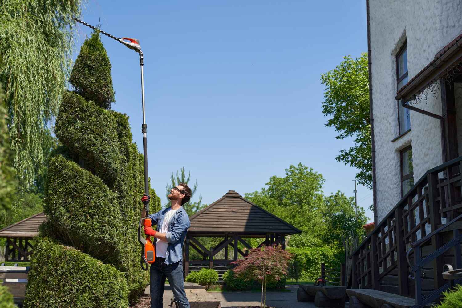 Residential Tree Removal in Buena Vista, GA